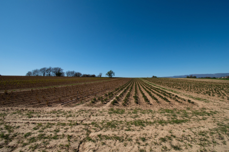 Acheter un terrain à Uzès