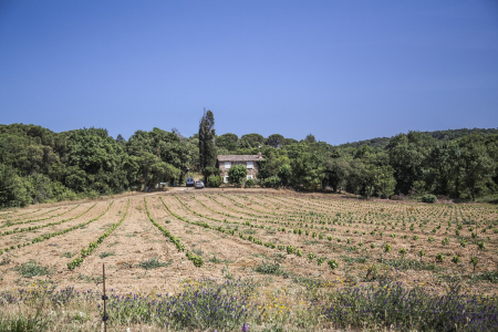 Acheter un terrain à Cavaillon