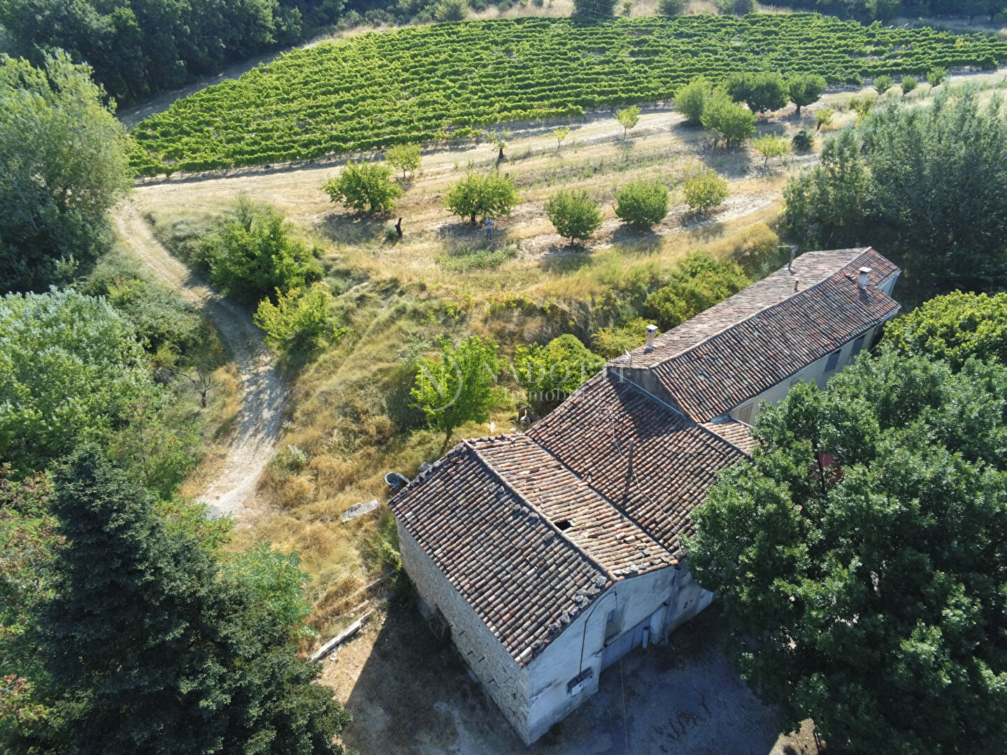 MAS à Rénover  sur 2 hectares de terrain