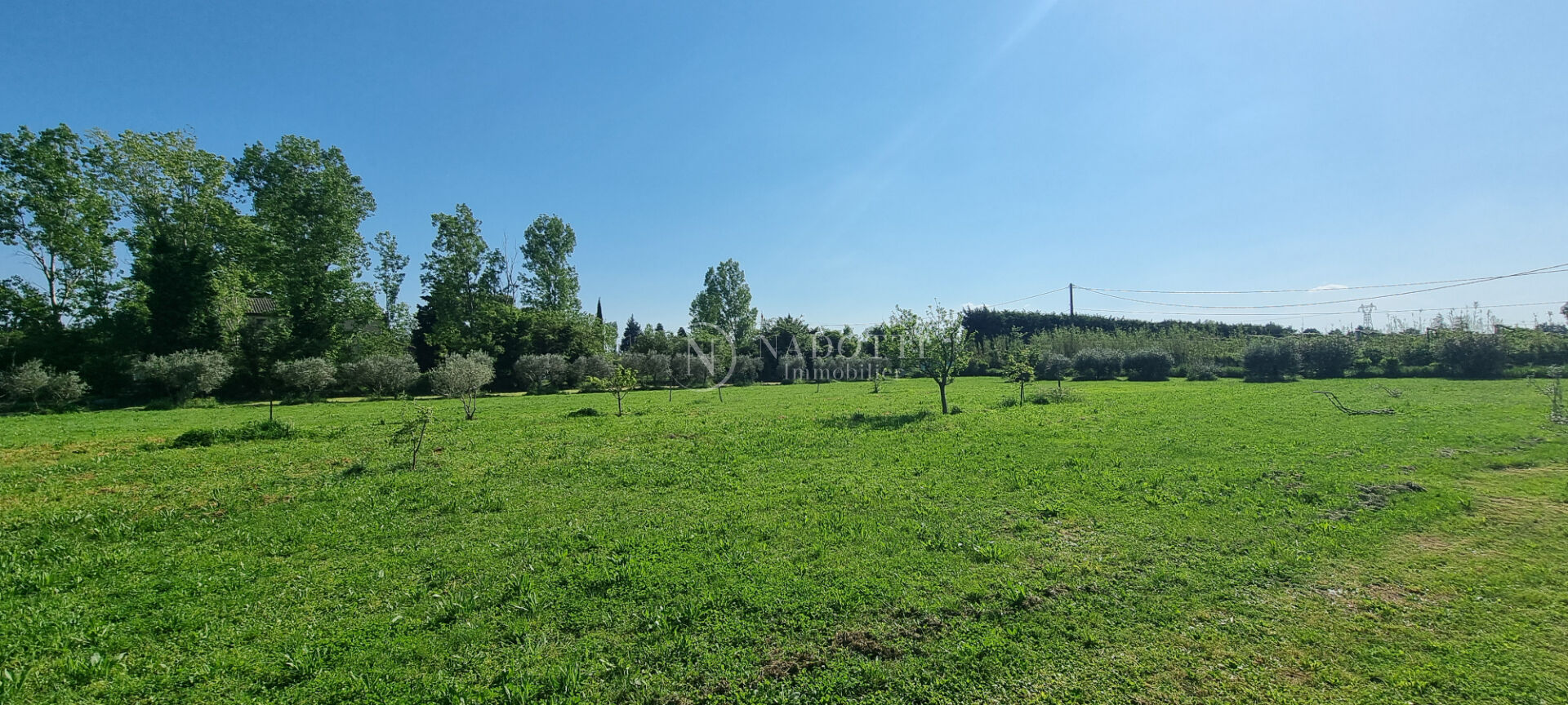 Cavaillon mas en campagne sur 9300 m² de terrain.