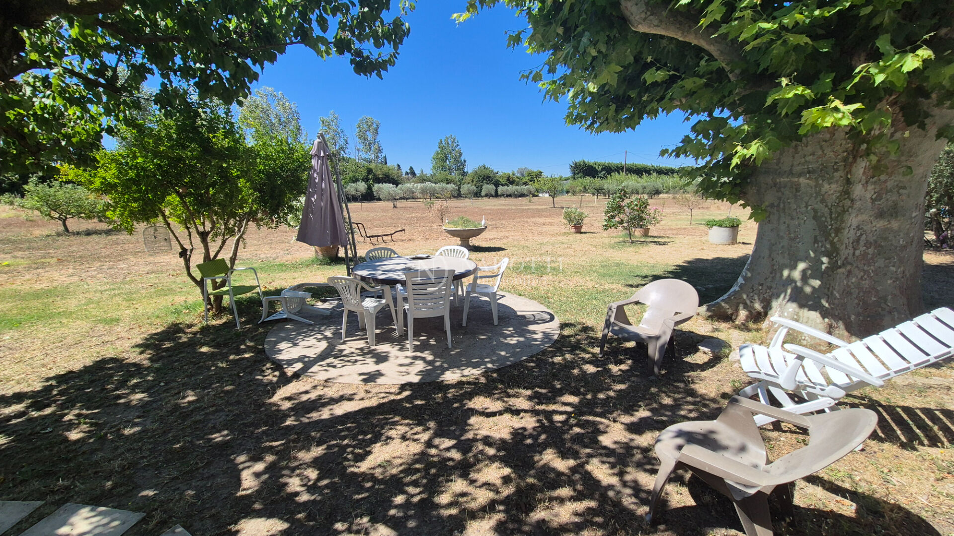 Cavaillon mas en campagne sur 9300 m² de terrain.