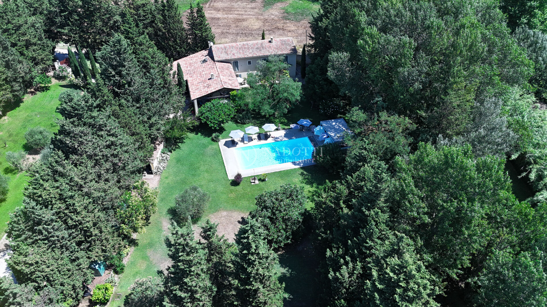 Superbe maison ancienne de charme sur terrain de 18 000 m² avec piscine et jardin arboré